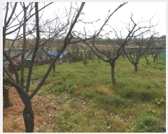  2024Ÿ��33615 ���� ������ ������ ��� 834-1      ����(��1)���