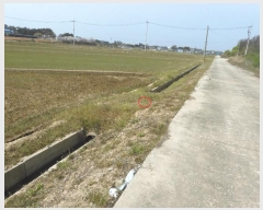  2024Ÿ��33615 ���� ������ ������ ��� 834-1      ����(��1)���