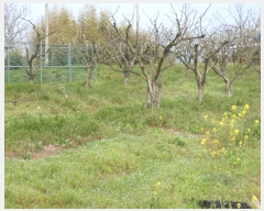  2024Ÿ��33615 ���� ������ ������ ��� 834-1      ����(��1)���