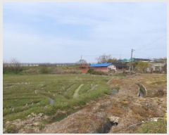  2024Ÿ��33615 ���� ������ ������ ��� 834-1      ����(��1)���