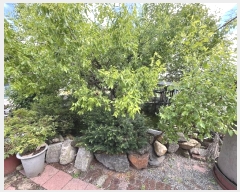  2024Ÿ��35444 ���� ���ֱ� ������ ���ϸ� 349      ����(��1)���