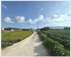  2024Ÿ��39026  �����