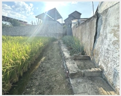  2024Ÿ��39026  �����