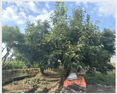  2024Ÿ��39026  �����