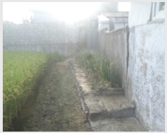  2024Ÿ��39026  �����