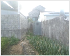  2024Ÿ��39026  �����