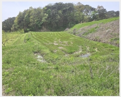  2024Ÿ1212  ӽǱ   502-1      ()