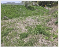  2024Ÿ1212  ӽǱ   502-1      ()