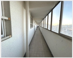  2024Ÿ6330  ֽ  3 10, 103 12 1210ȣ (ĵ1,鸶οƮ)  Ʈ