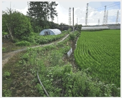  2024Ÿ6934   Ű 288-23       ()