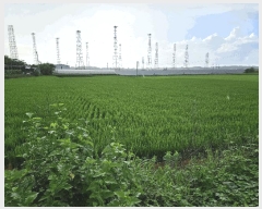  2024Ÿ6934   Ű 288-23       ()