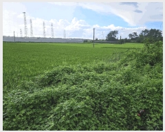  2024Ÿ6934   Ű 288-23       ()