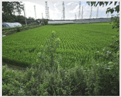  2024Ÿ6934   Ű 288-23       ()