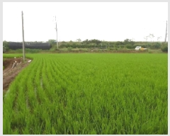  2024Ÿ6934   Ű 288-23       ()