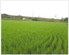  2024Ÿ6934   Ű 288-23       ()