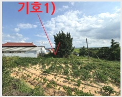  2024Ÿ37501   嵿 399-3       ()