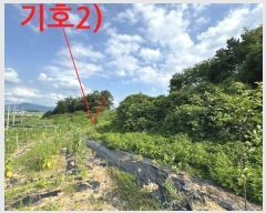  2024Ÿ37501   嵿 399-3       ()