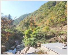  2024Ÿ��39484  �����