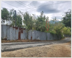  2024Ÿ��39484  �����