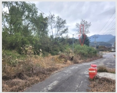  2024Ÿ��39484  �����