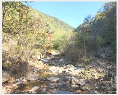  2024Ÿ��39484  �����