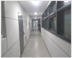  2024Ÿ��41661 ���� ���ֽ� �ϻ걸 ������ 303, �������ùױٸ���Ȱ�ü��� 2�� ���ǽ� 209ȣ (ȿ�ڵ�3��,���νŽð����ھƷ�����Ʈ��) ���ǽ��ڰ��