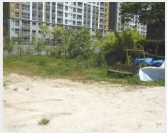  2024Ÿ2116  ֱ   1036      (1)