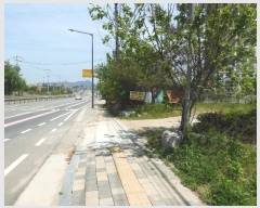  2024Ÿ2116  ֱ   1036      (1)