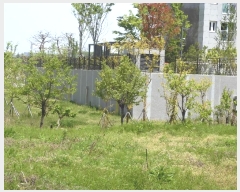  2024Ÿ2116  ֱ   1036      (1)