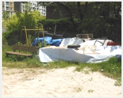  2024Ÿ2116  ֱ   1036      (1)