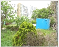  2024Ÿ2116  ֱ   1036      (1)