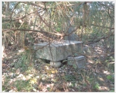  2024Ÿ6101     828-5      ð