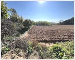  2024Ÿ6101     828-5      ð