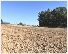  2024Ÿ6101     828-5      ð