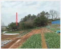  2024Ÿ32780  ֱ ̸ װ 178      (Ӿ)