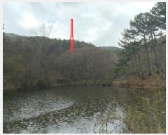  2024Ÿ32780  ֱ ̸ װ 178      (Ӿ)