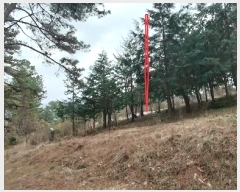  2024Ÿ32780  ֱ ̸ װ 178      (Ӿ)