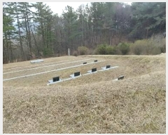  2024Ÿ32780  ֱ ̸ װ 178      (Ӿ)