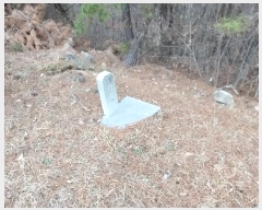  2024Ÿ32780  ֱ ̸ װ 178      (Ӿ)