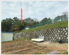  2024Ÿ32780  ֱ ̸ װ 178      (Ӿ)