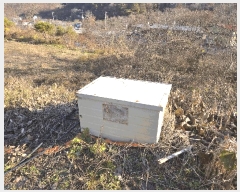  2024Ÿ��2864  �����