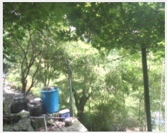  2024Ÿ��2864  �����