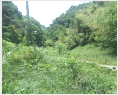  2024Ÿ��2864  �����