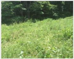  2024Ÿ��2864  �����