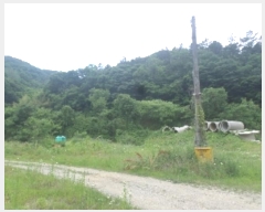  2024Ÿ��2864  �����