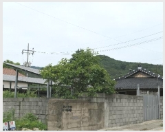  2024Ÿ��3386 ���� ������ �ݻ�� �ݻ긮 336-5      ����(����)���