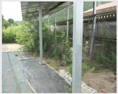  2024Ÿ��3386 ���� ������ �ݻ�� �ݻ긮 336-5      ����(����)���