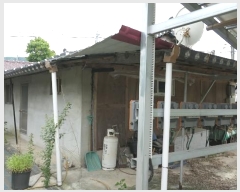  2024Ÿ��3386 ���� ������ �ݻ�� �ݻ긮 336-5      ����(����)���