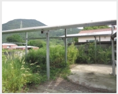  2024Ÿ��3386 ���� ������ �ݻ�� �ݻ긮 336-5      ����(����)���