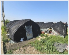  2024Ÿ34410  ֽ  ̵2 113-13      ()